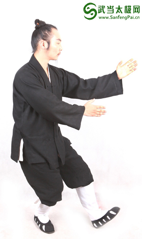 武当三丰太极拳28式 第七式 手挥琵琶 详解版