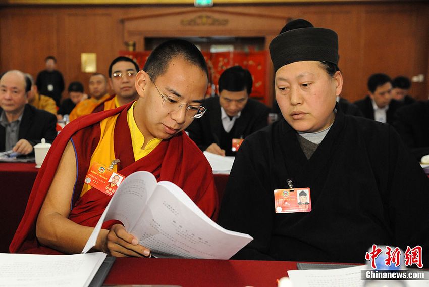 唐诚青与十一世班禅在两会讨论报告