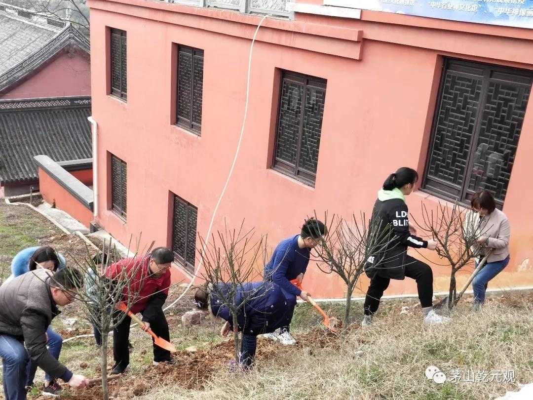 江苏茅山乾元观组织联合开展义务植树活动