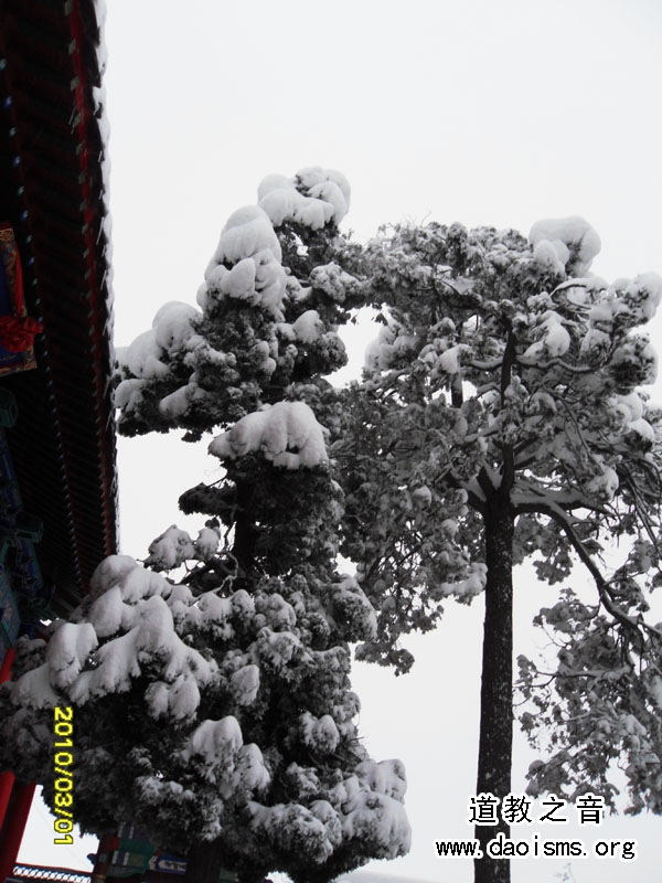 昆嵛山春雪