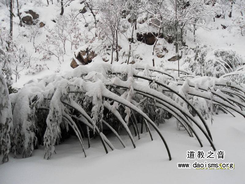 昆嵛山春雪