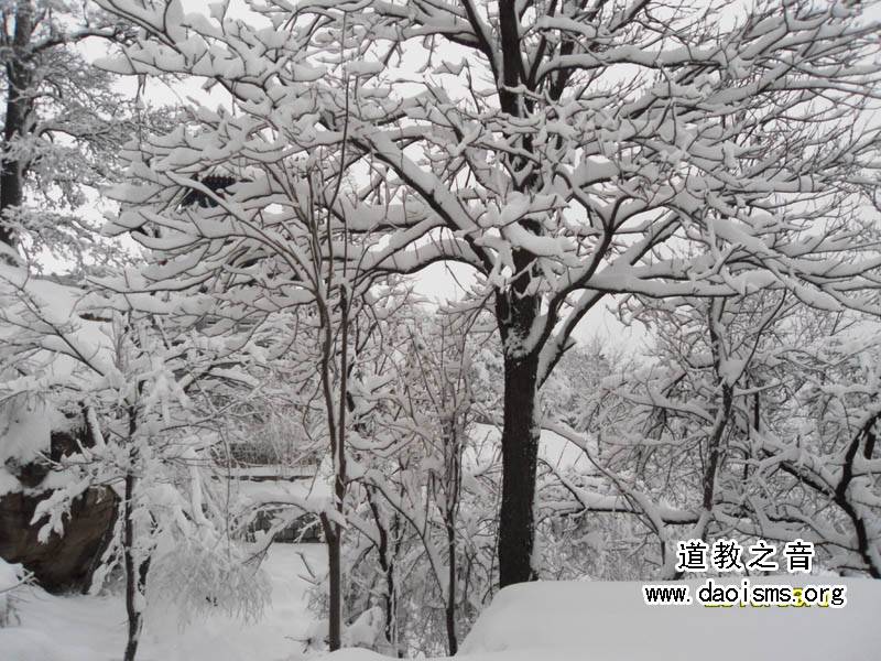 昆嵛山春雪