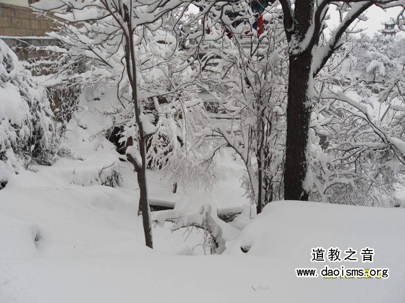 昆嵛山春雪