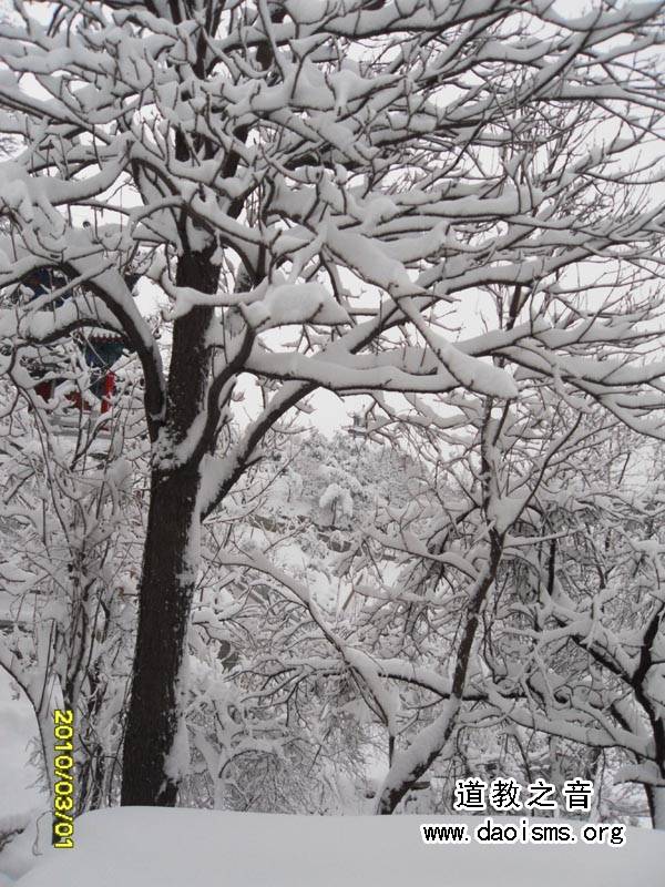 昆嵛山春雪