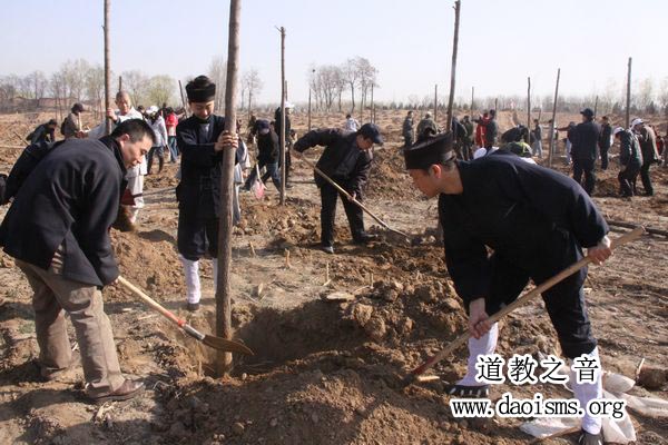 北京市宗教界开展义务植树活动