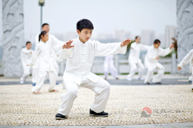 苏州工业园区道文化传播中心举办了2014暑期“武当太极拳、弟子规”夏令营活动