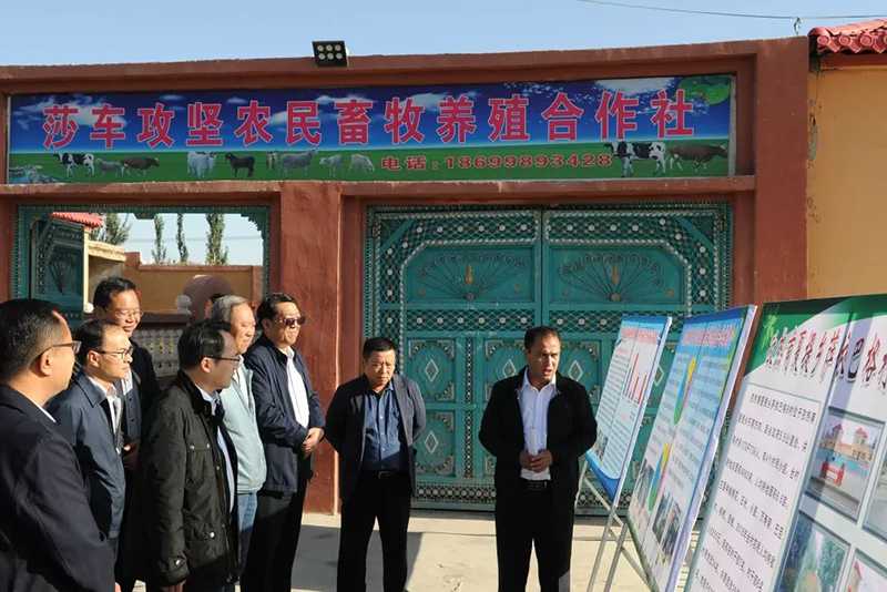上海宗教代表人士考察团赴新疆学习交流考察