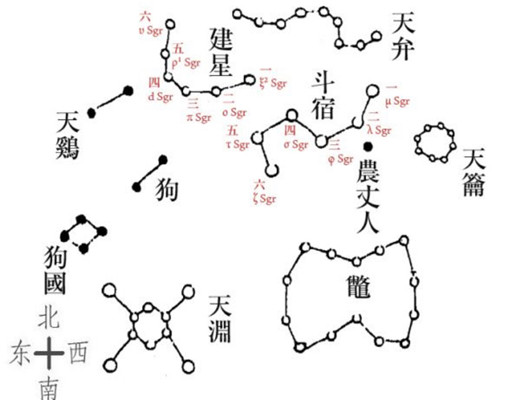 南斗青星图片