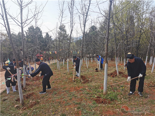 云南省道教协会开展护林活动