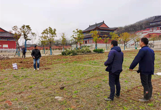 南京方山洞玄观开展义务植树活动