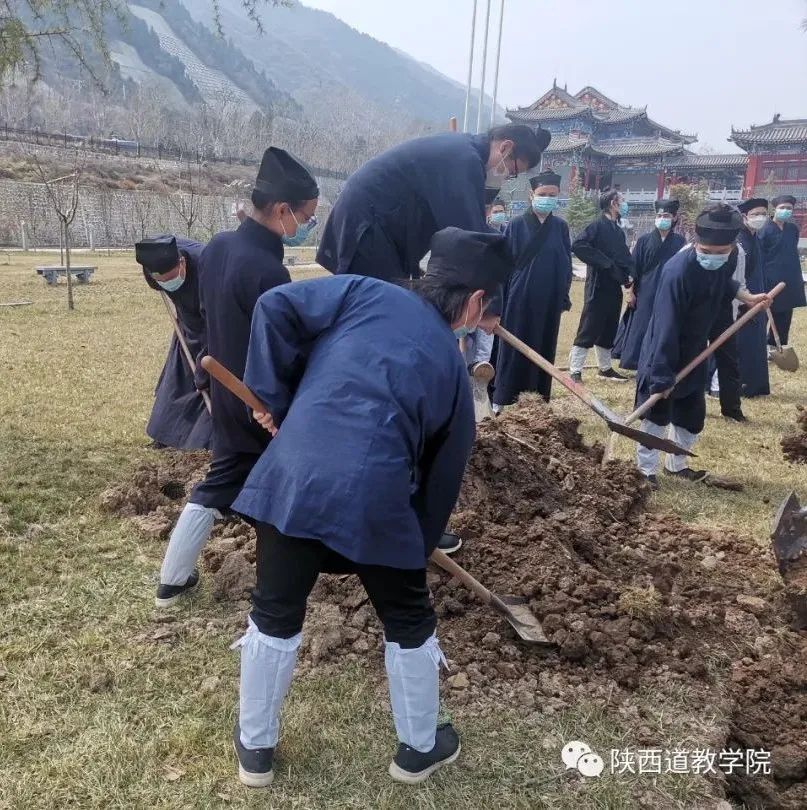 陕西道教学院组织全体师生开展植树活动